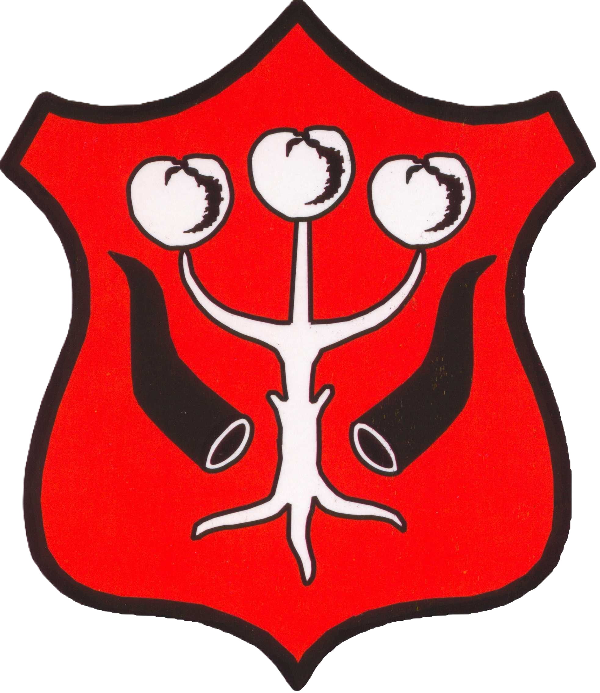 Miasto Garwolin